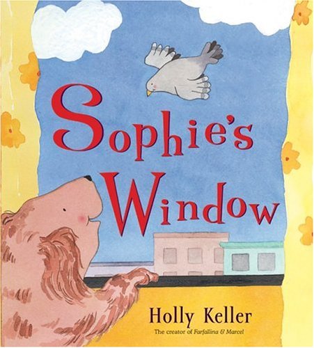 Sophie's Window