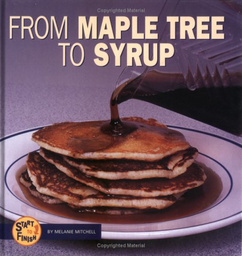 From Maple Tree to Syrup