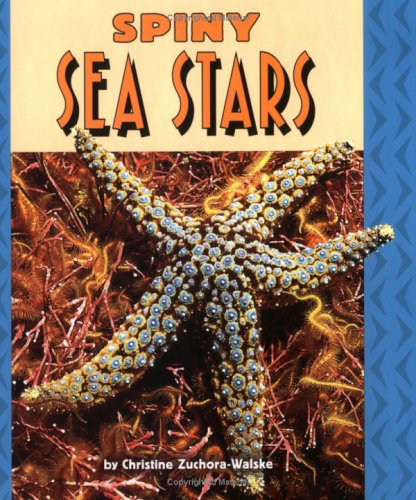 Spiny Sea Stars