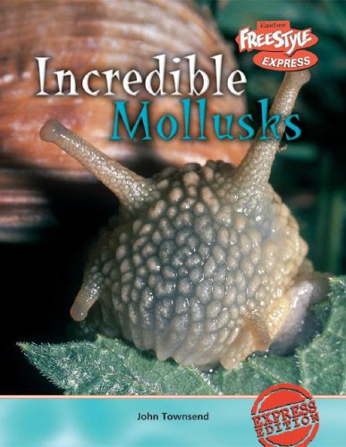 Incredible Mollusks