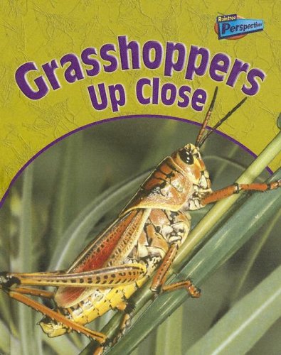 Grasshoppers Up Close