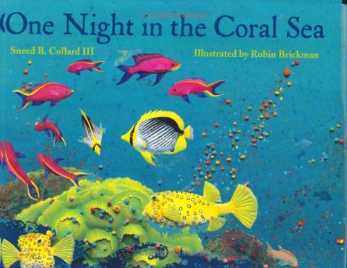 One Night in the Coral Sea