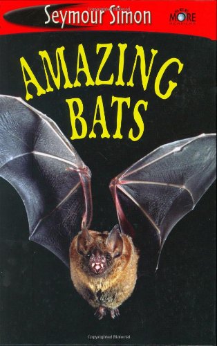 Amazing Bats