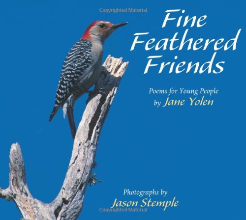 Fine Feathered Friends