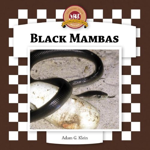 Black Mambas