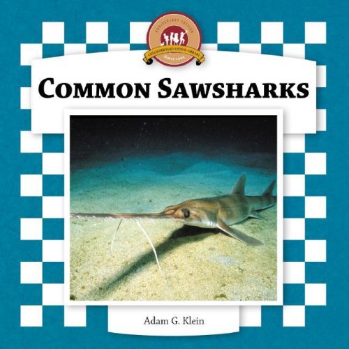 Common Sawsharks
