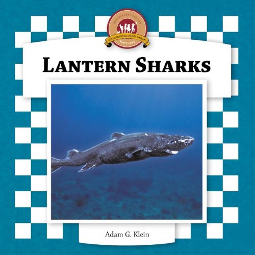 Lantern Sharks
