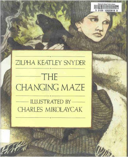 The changing maze