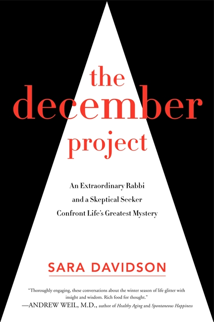 The December Project: An Extraordinary Rabbi and a Skeptical Scholar Take Aim at Our Greatest Mystery