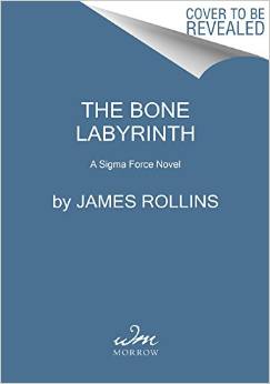 The Bone Labyrinth: A Tony Hill and Carol Jordan Novel