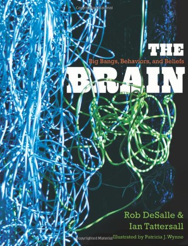 The Brain