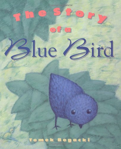 The Story of a Blue Bird