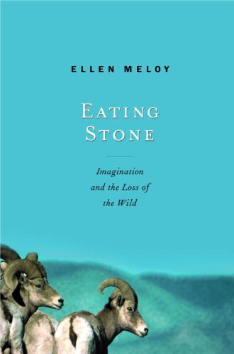 Eating stone