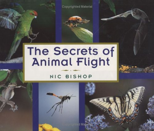 The Secrets of Animal Flight