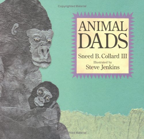 Animal Dads