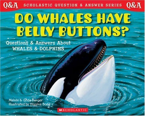 Do whales have belly buttons?