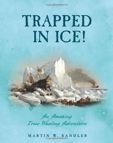 Trapped in Ice!