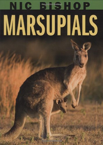 Nic Bishop Marsupials