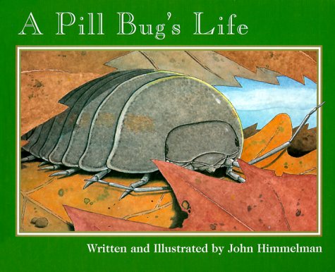A pill bug's life