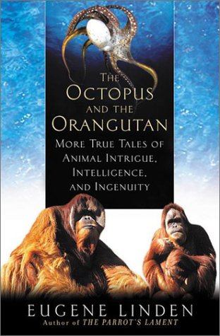 The octopus and the orangutan