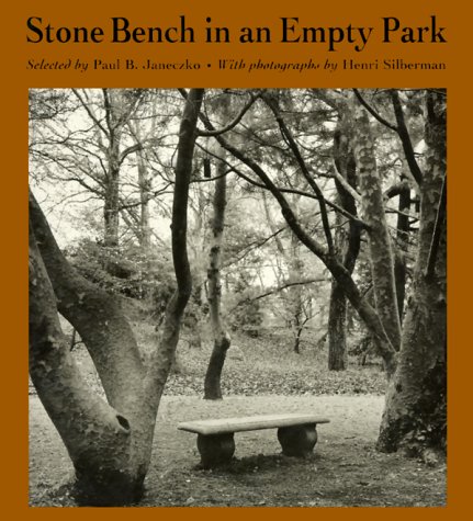 Stone bench in an empty park