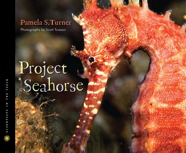 Project Seahorse [Scientists in the Field]