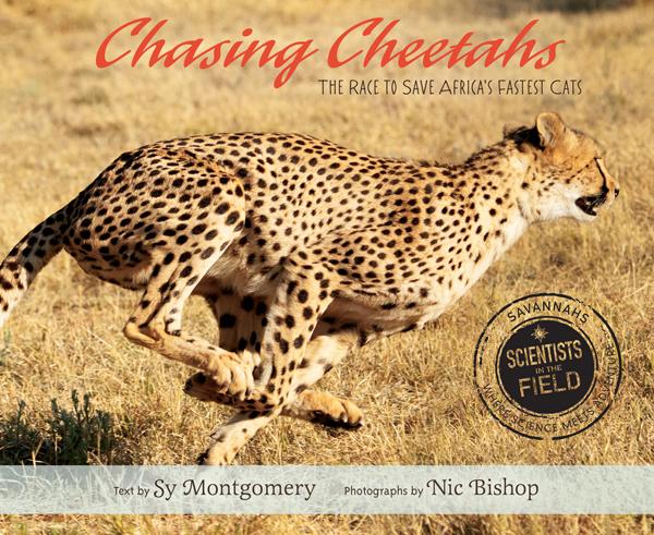 Chasing Cheetahs: The Race to Save Africa's Cat