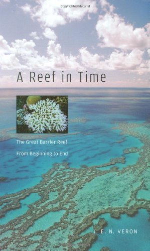 A reef in time