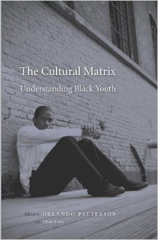 The Cultural Matrix: Understanding Black Youth