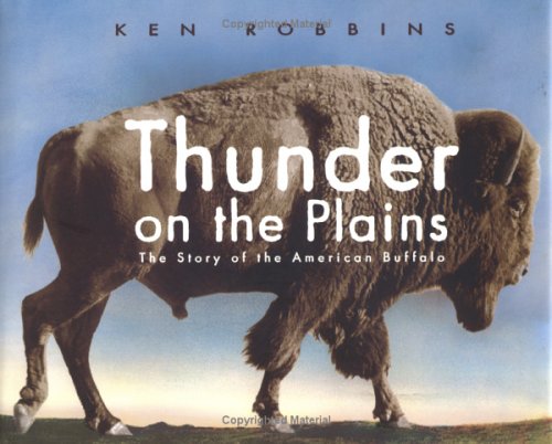 Thunder on the plains