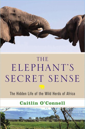 The elephant's secret sense
