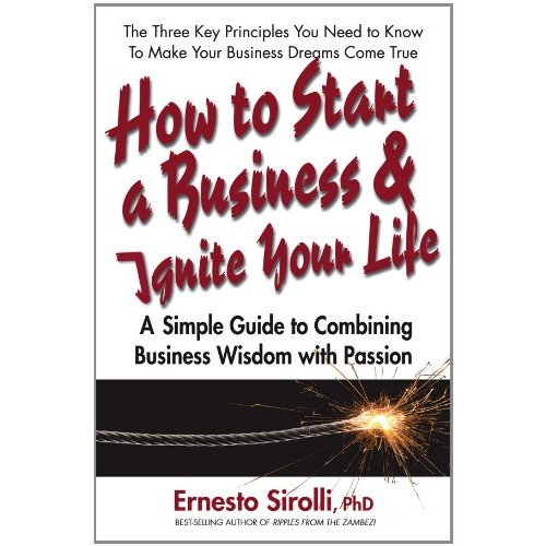 To Start a Business and Ignite Your Life: A Simple Guide to Combining Business Wisdom with Passion