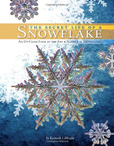 The Secret Life of a Snowflake