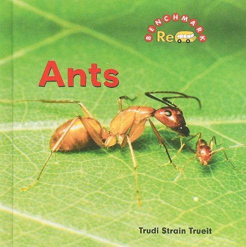 ANTS