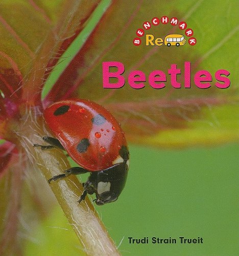 BEETLES