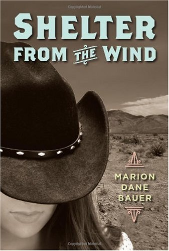 Shelter from the Wind