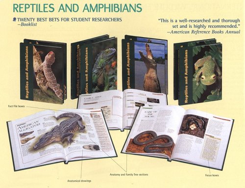 Reptiles and amphibians