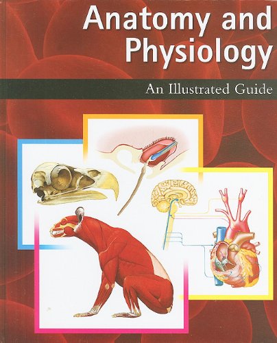 ANATOMY & PHYSIOLOGY