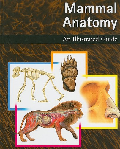 MAMMAL ANATOMY