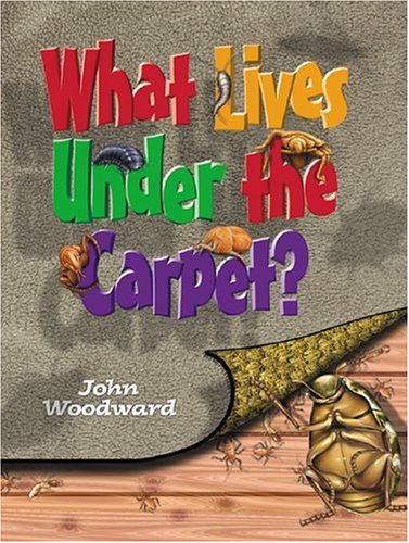 What Lives Under the Carpet?