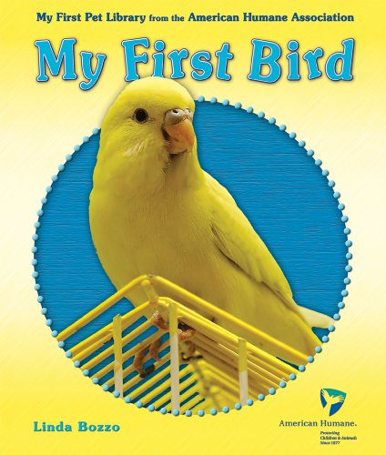 My First Bird
