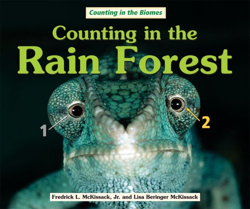 Counting in the Rain Forest