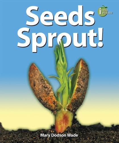 Seeds Sprout!