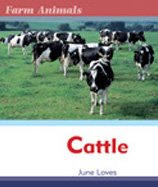 Cattle