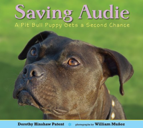 Saving Audie