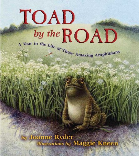 Toad by the Road