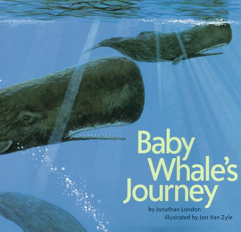 Baby Whale's Journey