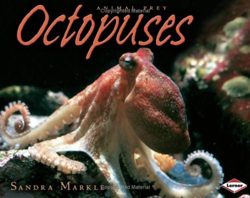 Octopuses
