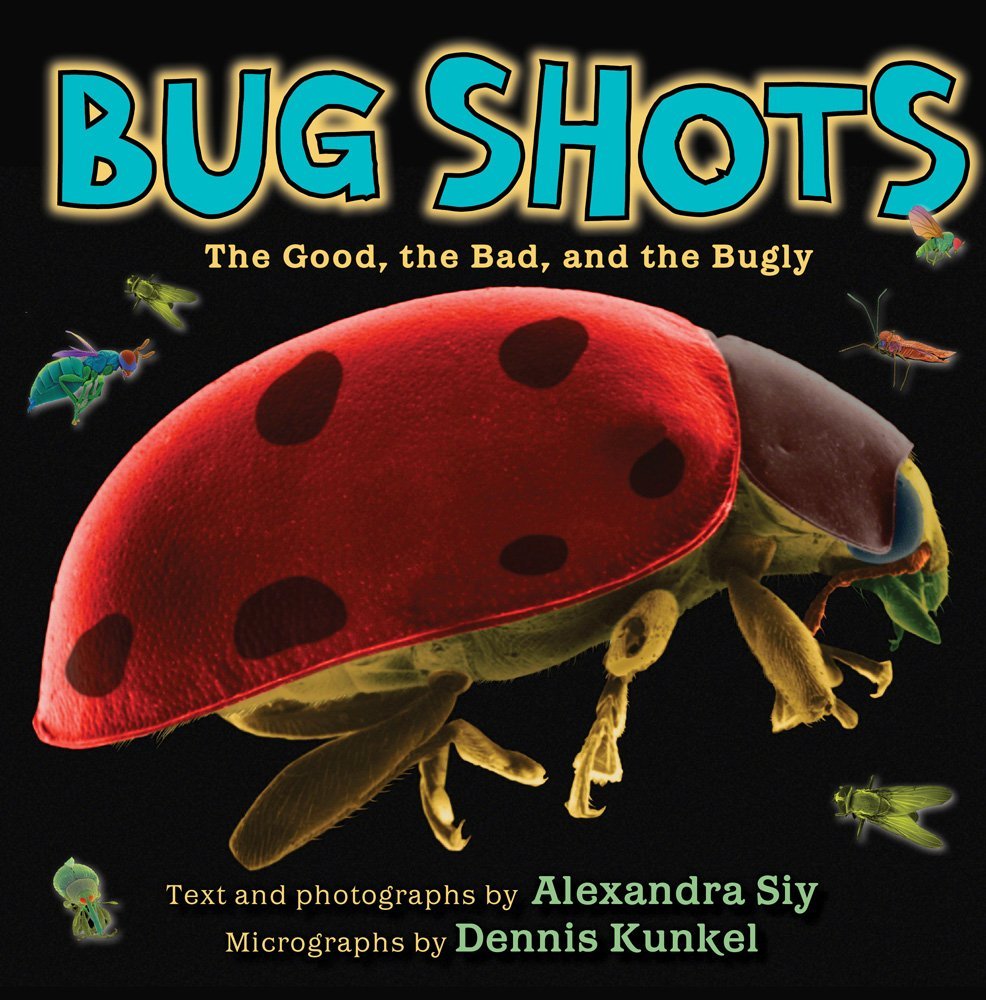 Bug Shots
