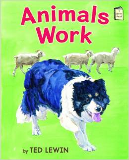 Animals Work